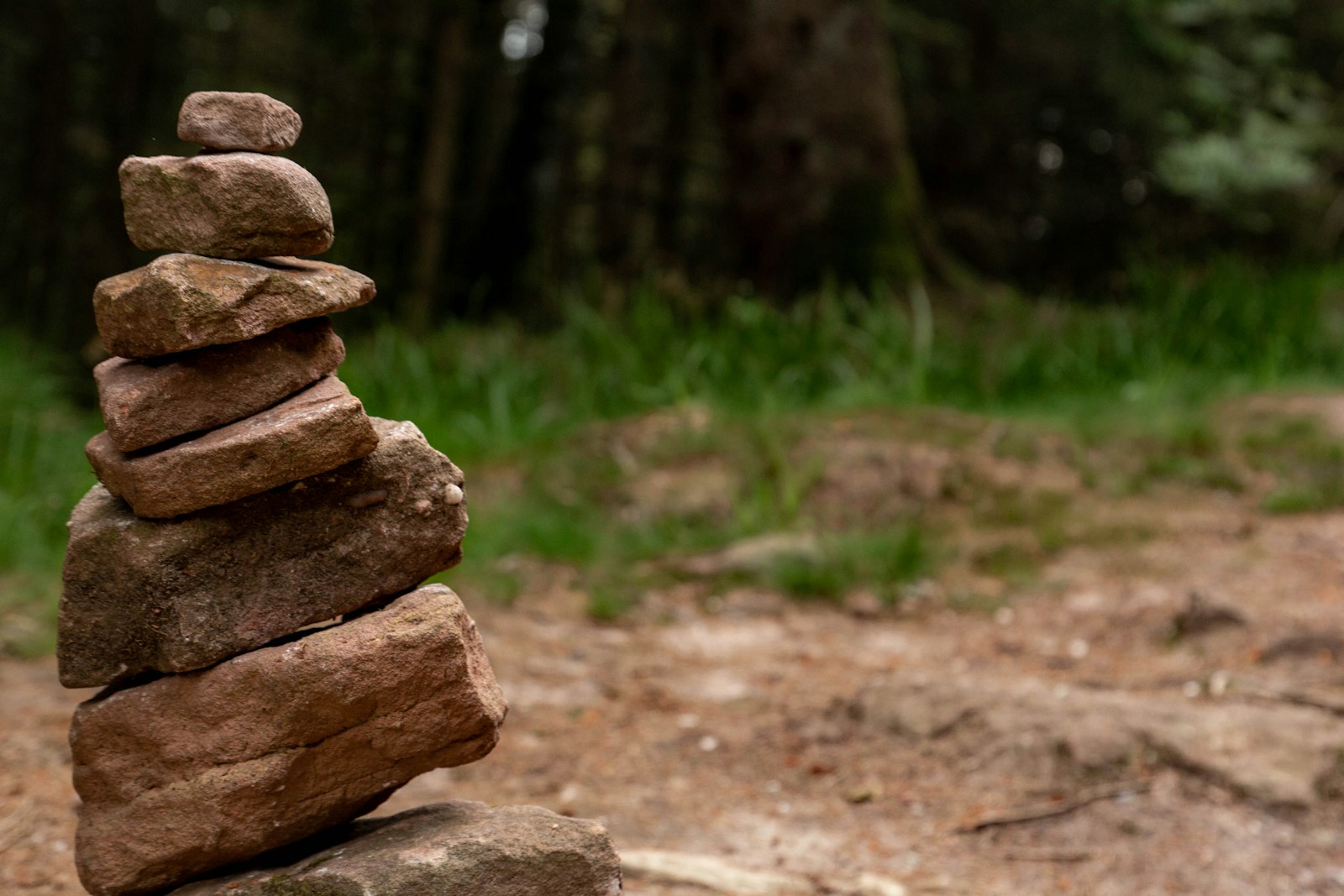 A stack of rocks sitting in the middle of a forest